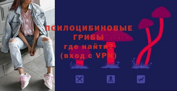 бошки Зеленодольск