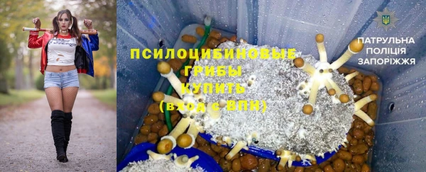 хмурый Зеленокумск