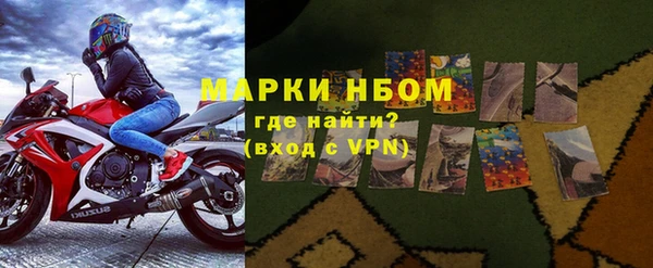 хмурый Зеленокумск